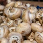 breakthrough-in-composting-enhances-crop-growth