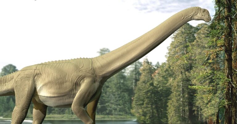 first-fossil-evidence-confirms-sauropod-herbivory