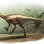 new-dinosaur-species-unveiled-a-swift-herbivore-from-the-jurassic-era