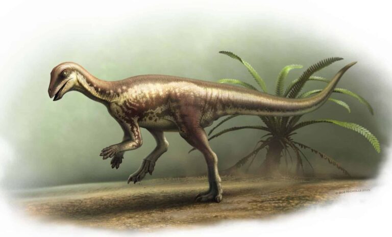 new-dinosaur-species-unveiled-a-swift-herbivore-from-the-jurassic-era