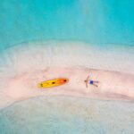 new-island-emerges-in-caspian-sea-offers-hope-for-wildlife