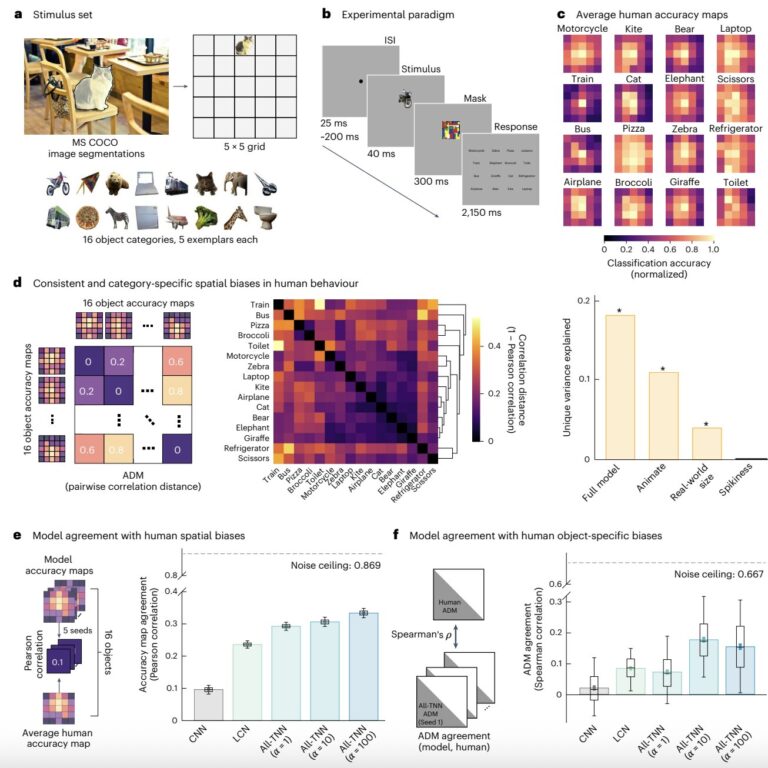 new-neural-networks-mimic-human-visual-system-more-closely