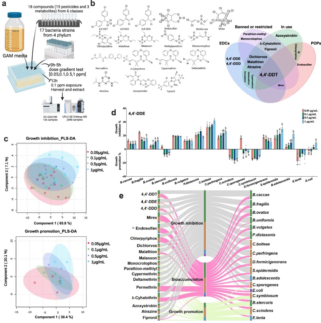 new-study-maps-pesticide-impact-on-gut-bacteria-suggests-probiotic-solutions