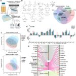 new-study-maps-pesticide-impact-on-gut-bacteria-suggests-probiotic-solutions
