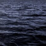 oceans-darken-threatening-marine-ecosystems
