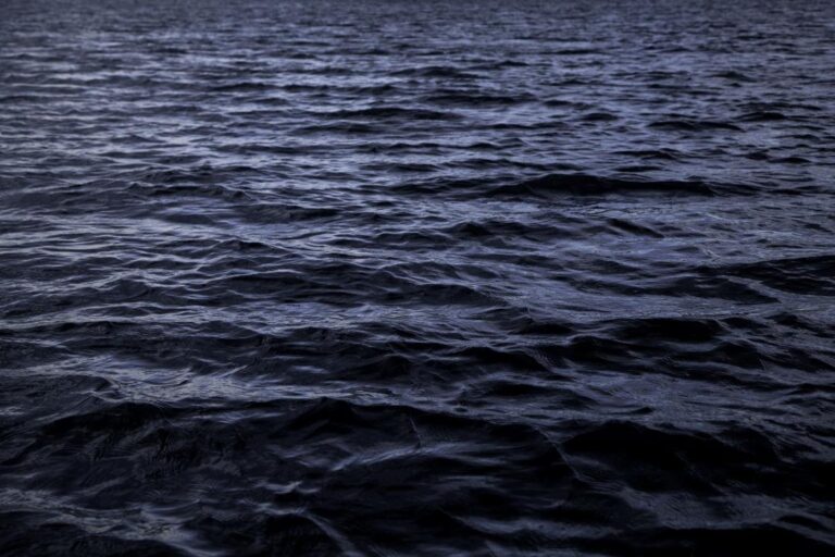 oceans-darken-threatening-marine-ecosystems