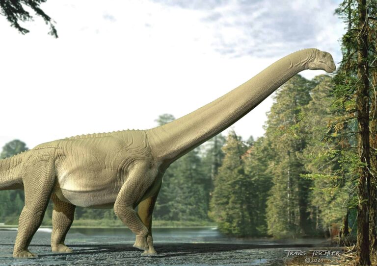 sauropod-s-last-meal-reveals-ancient-diet-secrets
