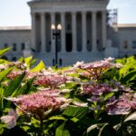 Supreme Court Issues Opinions