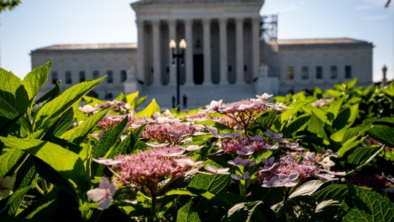 Supreme Court Issues Opinions