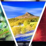 top-3-tvs-of-2025-a-reviewer-s-picks-for-best-performance-and-value