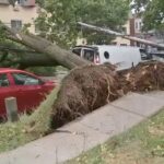 trees-down-transit-delays-as-debby-hits-tri-state