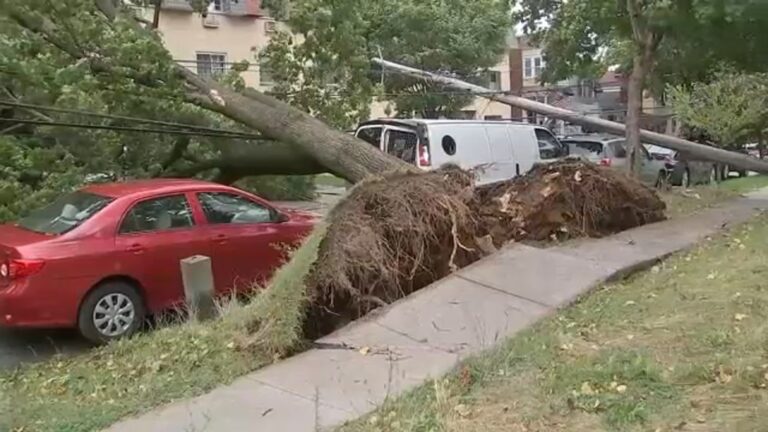 trees-down-transit-delays-as-debby-hits-tri-state