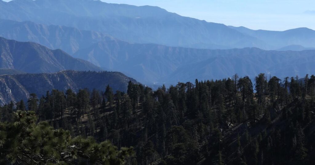 trump-rescinds-rule-protecting-58-million-acres-of-forests
