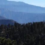 trump-rescinds-rule-protecting-58-million-acres-of-forests
