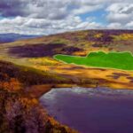 world-s-largest-organism-faces-extinction-threats-in-utah