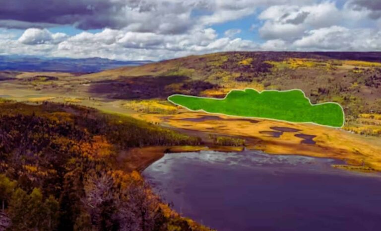 world-s-largest-organism-faces-extinction-threats-in-utah