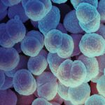alaskan-woman-s-death-highlights-rising-concerns-over-gonorrhea-strains