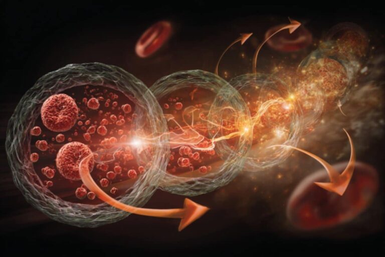 breakthrough-study-reveals-aging-can-spread-through-bloodstream