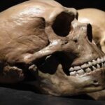 discovery-of-homo-sapiens-neanderthal-meeting-place-shifts-evolutionary-paradigms
