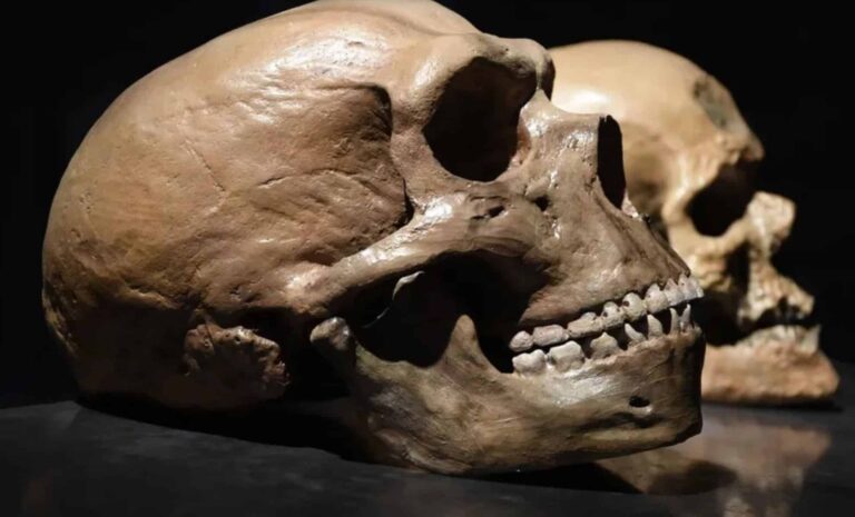 discovery-of-homo-sapiens-neanderthal-meeting-place-shifts-evolutionary-paradigms