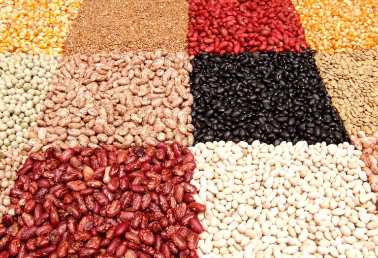 innovative-heating-method-enhances-digestibility-of-legumes