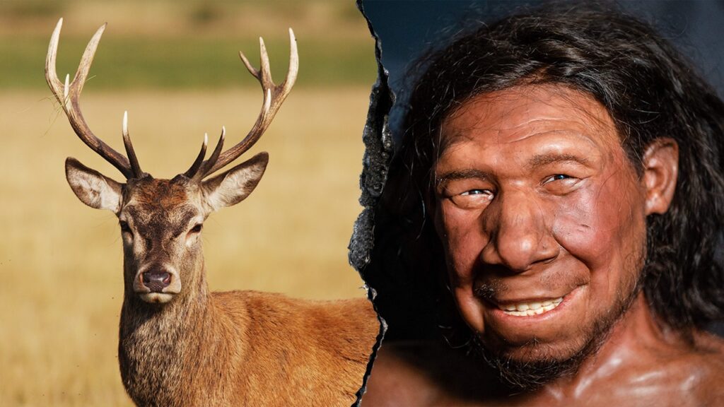 neanderthals-ancient-fat-factory-reveals-advanced-food-processing-techniques