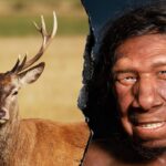 neanderthals-ancient-fat-factory-reveals-advanced-food-processing-techniques
