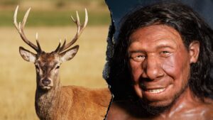 neanderthals-ancient-fat-factory-reveals-advanced-food-processing-techniques