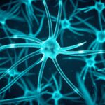 new-study-confirms-adult-brains-continue-to-grow-new-cells