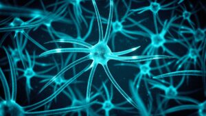 new-study-confirms-adult-brains-continue-to-grow-new-cells