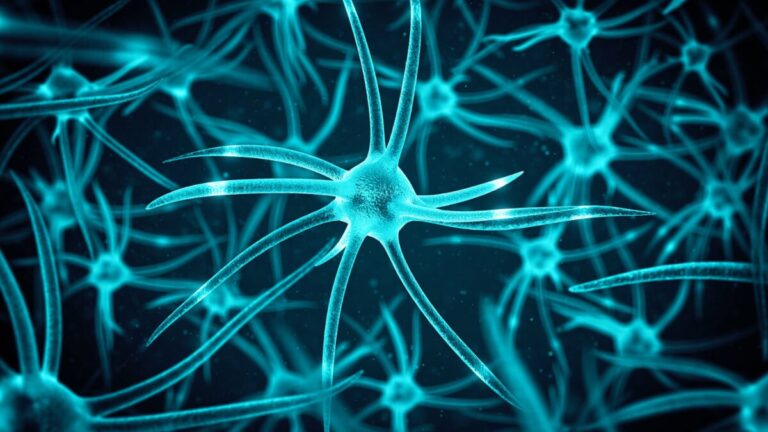 new-study-confirms-adult-brains-continue-to-grow-new-cells