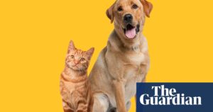 owning-pets-may-slow-cognitive-decline-study-reveals