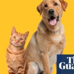 pets-may-slow-cognitive-decline-in-aging-adults-study-finds