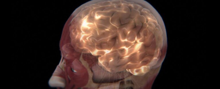scientists-explore-human-brain-s-mysterious-glow-for-health-insights