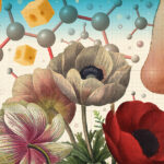 the-intricate-ties-between-smell-memory-and-emotion