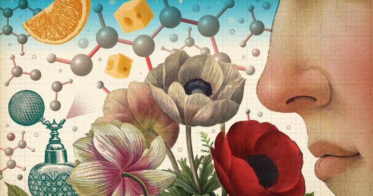 the-intricate-ties-between-smell-memory-and-emotion