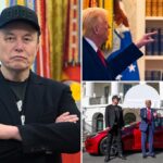 trump-threatens-to-investigate-elon-musk-s-government-subsidies-amid-renewed-feud