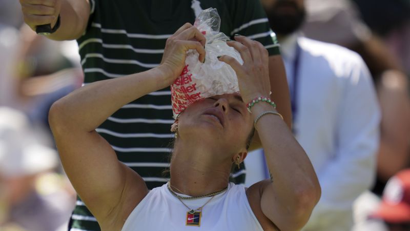 wimbledon-2023-players-and-fans-endure-record-heatwave